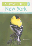 Backyard Birds of New York - Fenimore, Bill
