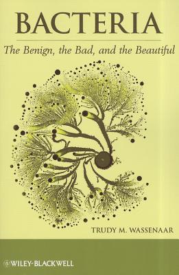 Bacteria: The Benign, the Bad, and the Beautiful - Wassenaar, TM