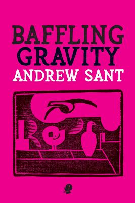 Baffling Gravity - Sant, Andrew