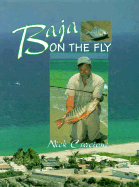 Baja On The Fly