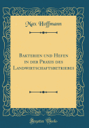 Bakterien Und Hefen in Der Praxis Des Landwirtschaftsbetriebes (Classic Reprint)