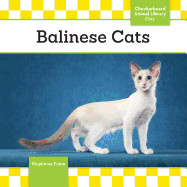 Balinese Cats