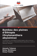 Bambou des plaines d'thiopie (Oxytenanthera abyssinica)