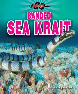 Banded Sea Krait - Boutland, Craig