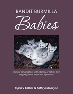 Bandit Burmilla Babies: Intimate Conversations with a Family of Cats on Love, Pregancy, Birth, Death and Separation.