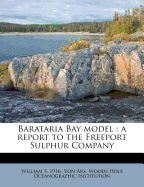 Barataria Bay Model: A Report to the Freeport Sulphur Company