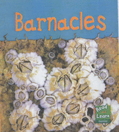 Barnacles - Schaefer, Lola M