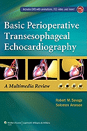 Basic Perioperative Transesophageal Echocardiography: A Multimedia Review