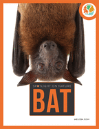 Bat