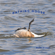 Bathing Goose