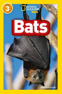 Bats: Level 3