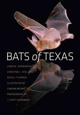 Bats of Texas - Ammerman, Loren K, Ph.D., and Hice, Christine L, PH.D., and Schmidly, David J, Dr., Ph.D.