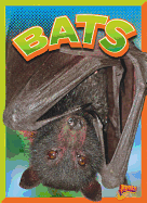 Bats