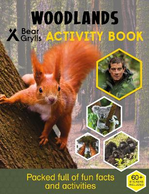 Bear Grylls Sticker Activity: Woodlands - Grylls, Bear