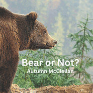 Bear or Not?