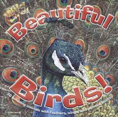 Beautiful Birds - Davies, Valerie