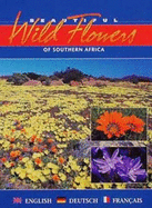 Beautiful Wild Flowers of Southern Africa: An Illustrated Traveller's Companion