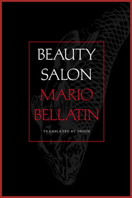 Beauty Salon - Bellatin, Mario, and Shook, David (Translated by)