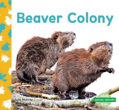 Beaver Colony - Murray, Julie