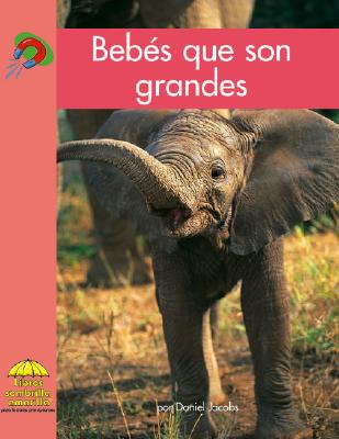 Bebs Que Son Grandes - Jacobs, Daniel