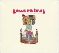 Becalmyounglovers - Bowerbirds