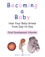 Becoming a Baby: How Your Baby Grows from Day-To-Day