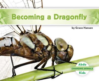 Becoming a Dragonfly - Hansen, Grace