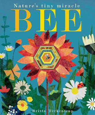 Bee: Nature's tiny miracle - Hegarty, Patricia