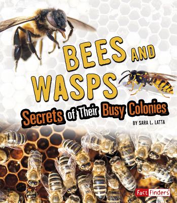 Bees and Wasps: Secrets of Their Busy Colonies: Secrets of Their Busy Colonies - 