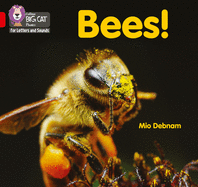 Bees!: Band 02b/Red B