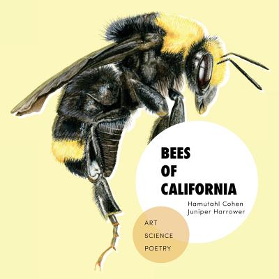 Bees of California: Art, Science, and Poetry - Cohen, Hamutahl (Editor), and Harrower, Juniper (Editor), and Sofia, Vermeulen (Designer)