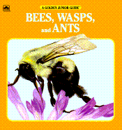 Bees, Wasps and Ants - Fichter, George S, and Golden Books