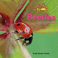 Beetles