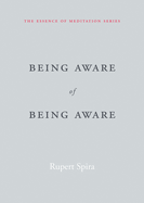 Being Aware of Being Aware