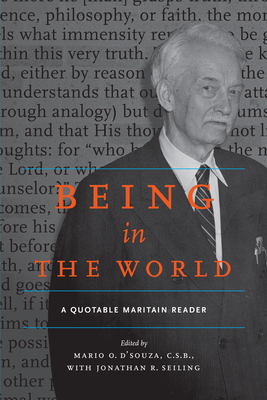 Being in the World - D'Souza C S B, Mario (Editor), and Seiling, Jonathan R (Editor)