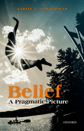 Belief: A Pragmatic Picture