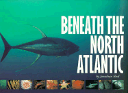 Beneath the North Atlantic