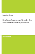 Beschimpfungen - am Beispiel des Franzsischen und Spanischen