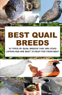 Best Quail Breeds: 10 Types Of Quail Breeds That Are Good Layers And Are Best To Keep For Their Meat