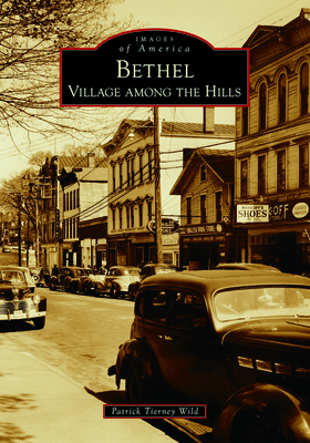 Bethel: Village Among the Hills - Wild, Patrick Tierney