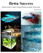 Betta Success: Doing What It Takes to Keep Bettas Healthy Long-Term