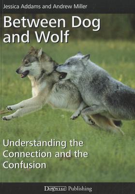 Between Dog and Wolf: Understanding the Connection and the Confusion - Addams, Jessica, and Miller, Andrew