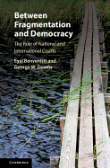 Between Fragmentation and Democracy