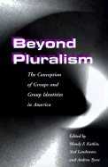 Beyond Pluralism: The Conception of Groups and Group Identities in America