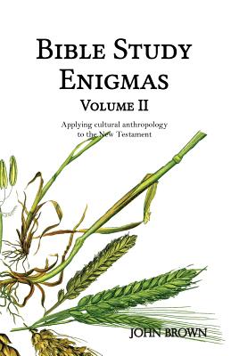 Bible Study Enigmas, Volume II: Applying cultural anthropology to the New Testament - Brown, John L