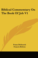 Biblical Commentary On The Book Of Job V1