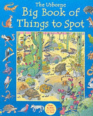 Big Book of Things to Spot - Doherty, Gillian, and Brocklehurst, Ruth, and Milbourne, Anna