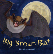 Big Brown Bat - 