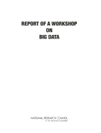 Big Data: A Workshop Report