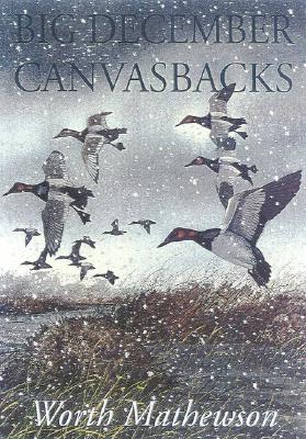 Big December Canvasbacks, Revised - Mathewson, Worth